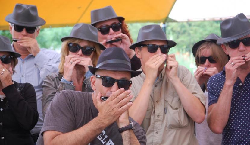Mondharmonica: Workshops Hasselt